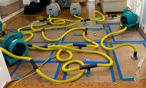 Professional Flood Damage Restoration technician working in Lovelock, NV
